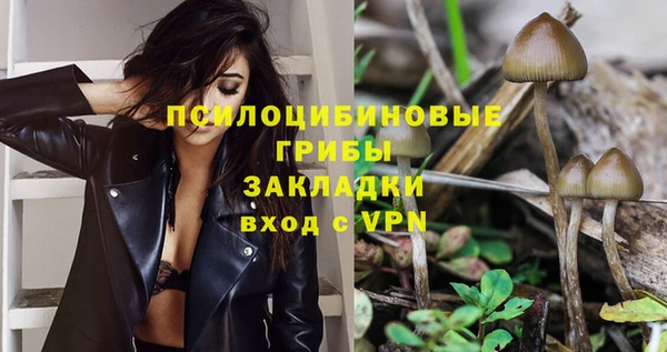 прущая мука Заводоуковск