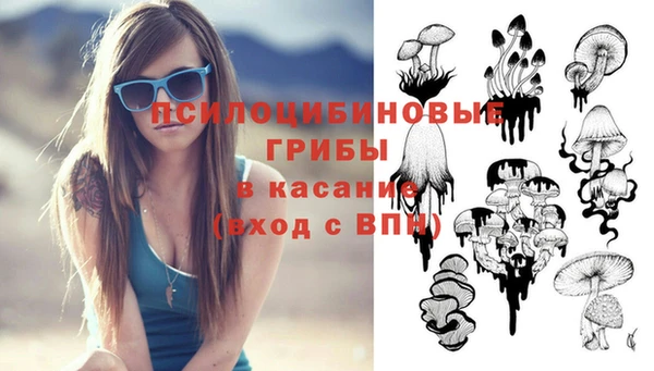 СК Заволжье