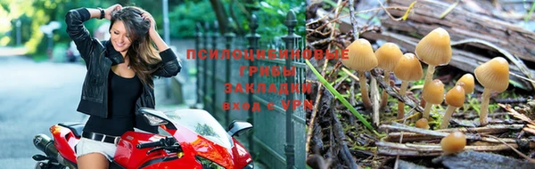 каннабис Заволжск