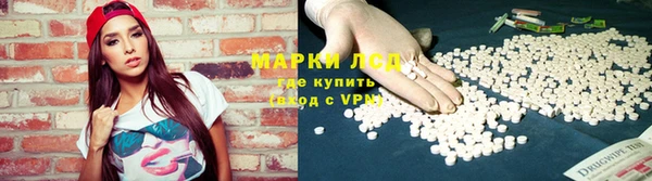 прущие крисы Елизово