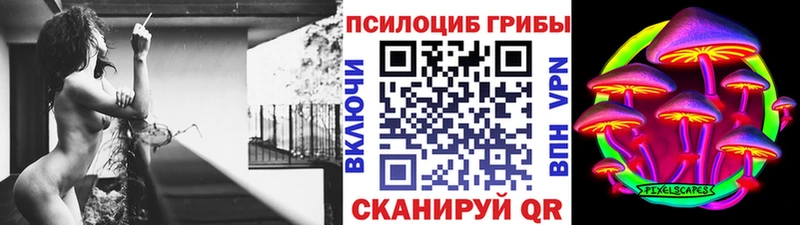 Псилоцибиновые грибы Cubensis  Свирск 