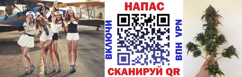 Бошки марихуана сатива  Свирск 
